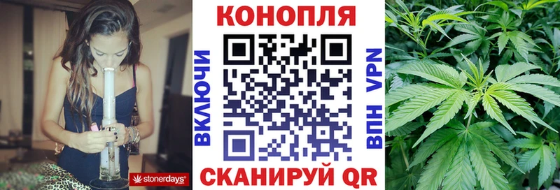 Бошки марихуана планчик  Купить где  Буинск 